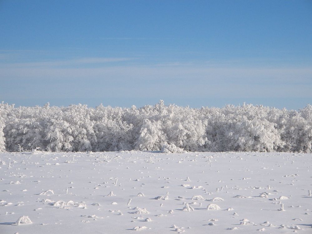 Photograph by R Vladimir