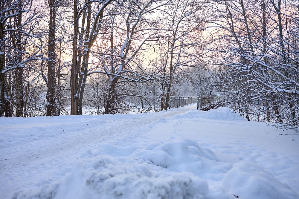 Фотография автора Покровский Антон