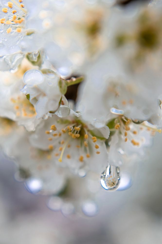 Photograph by Галина Ноздрина