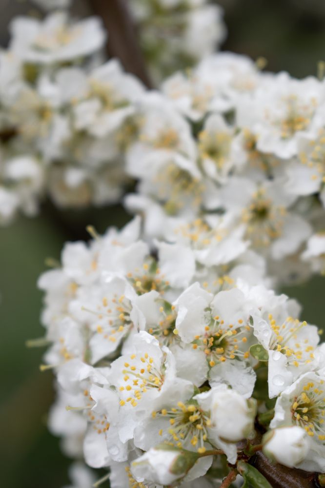 Photograph by Галина Ноздрина