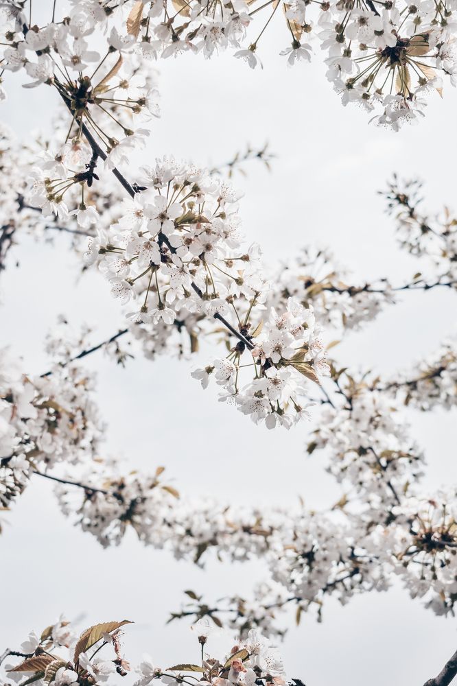 Photograph by Галина Ноздрина