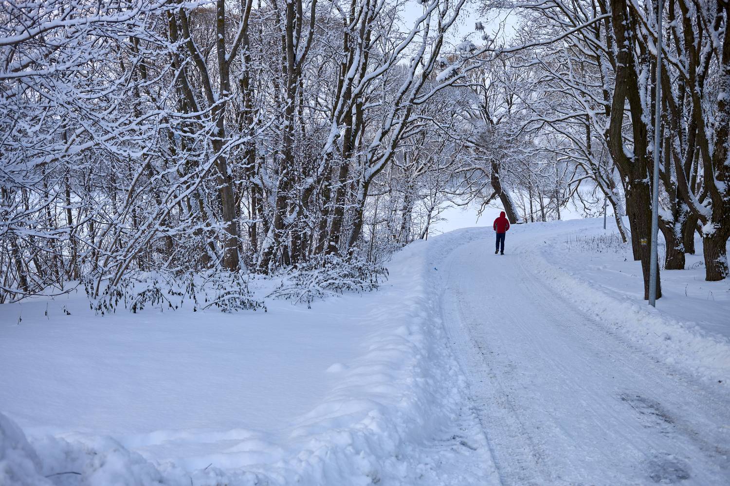 Фотография #11419176