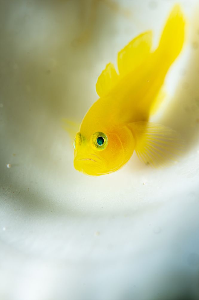 Photograph by Magali Márquez