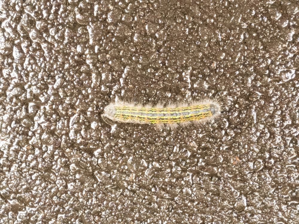 Photograph by Виталий Кореньков