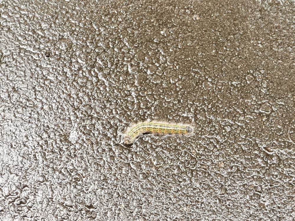 Photograph by Виталий Кореньков