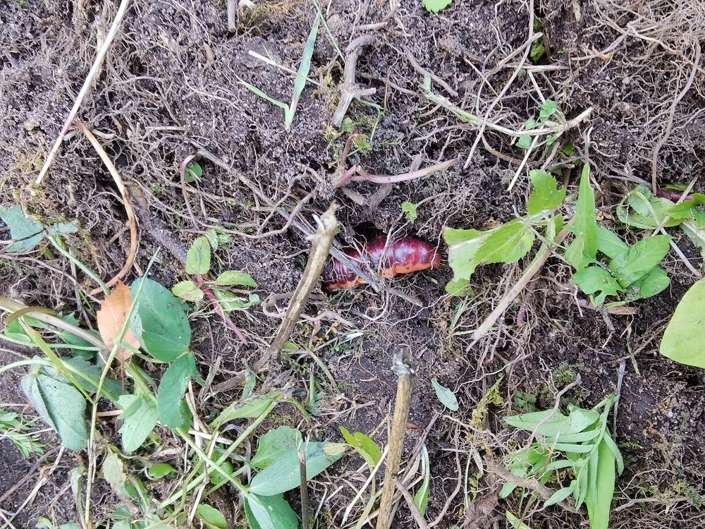 Photograph by Виталий Кореньков