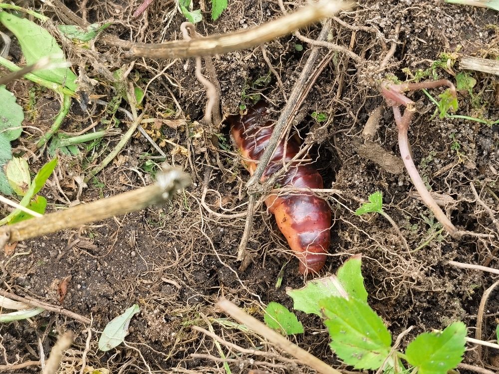 Photograph by Виталий Кореньков