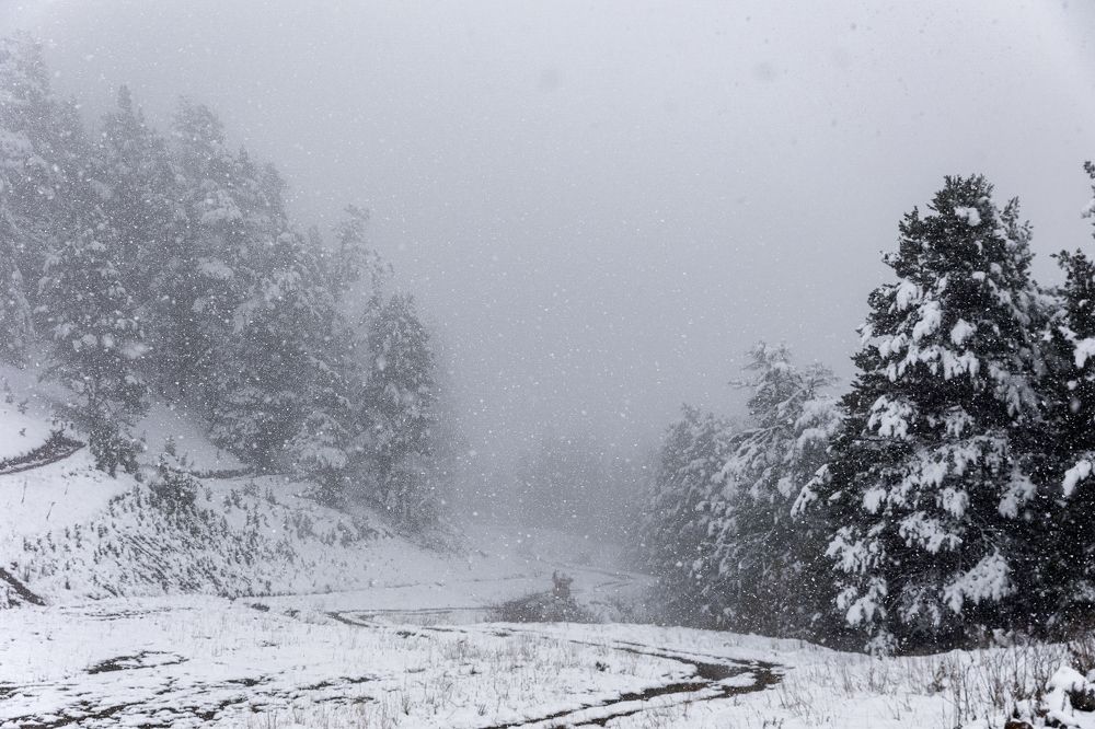 Photograph by Мария Раздорова