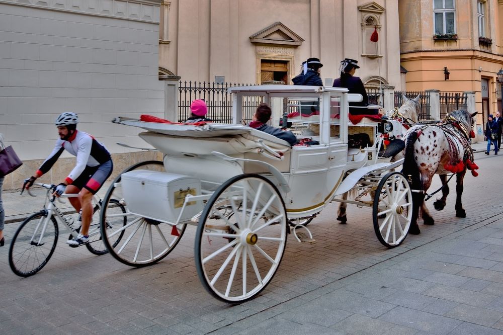 Photograph by Milan Cernak