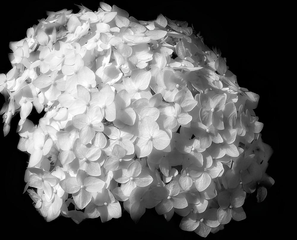 Photograph by Светлана Барабанова