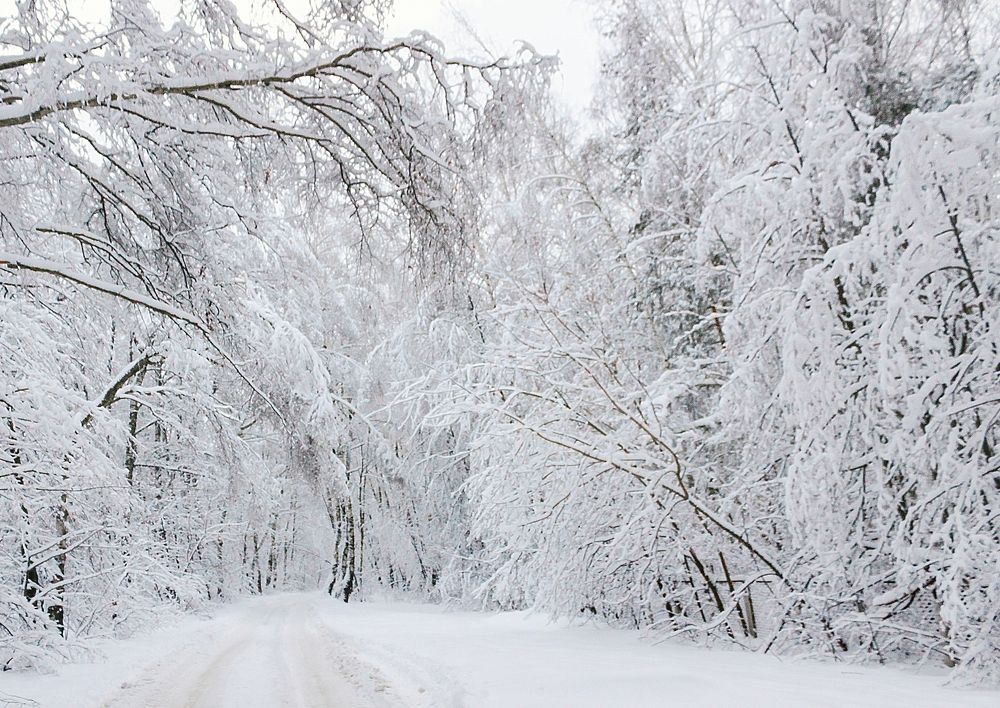 Photograph by Светлана Кавказская