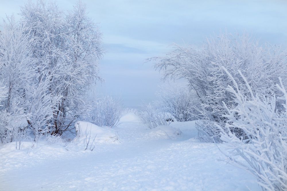 Фотография автора Наталья Василькова