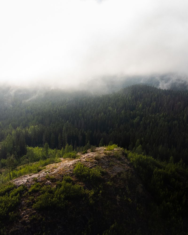 Хийденвуори