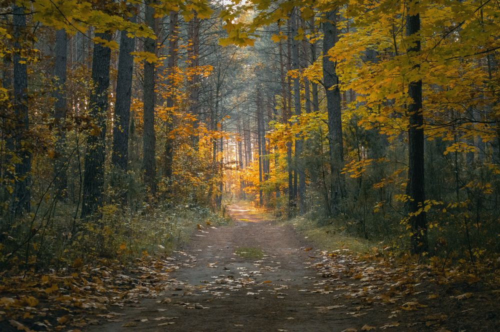 Photograph by Елена Кошелева