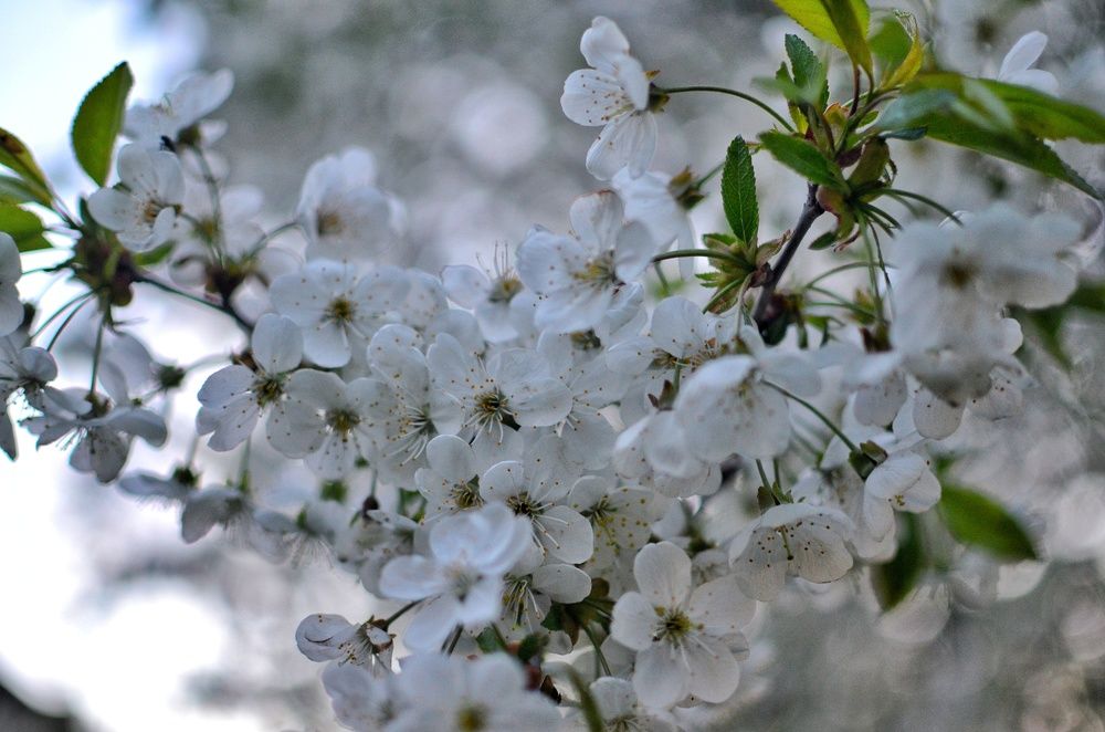 Фотография автора Ольга Беликова