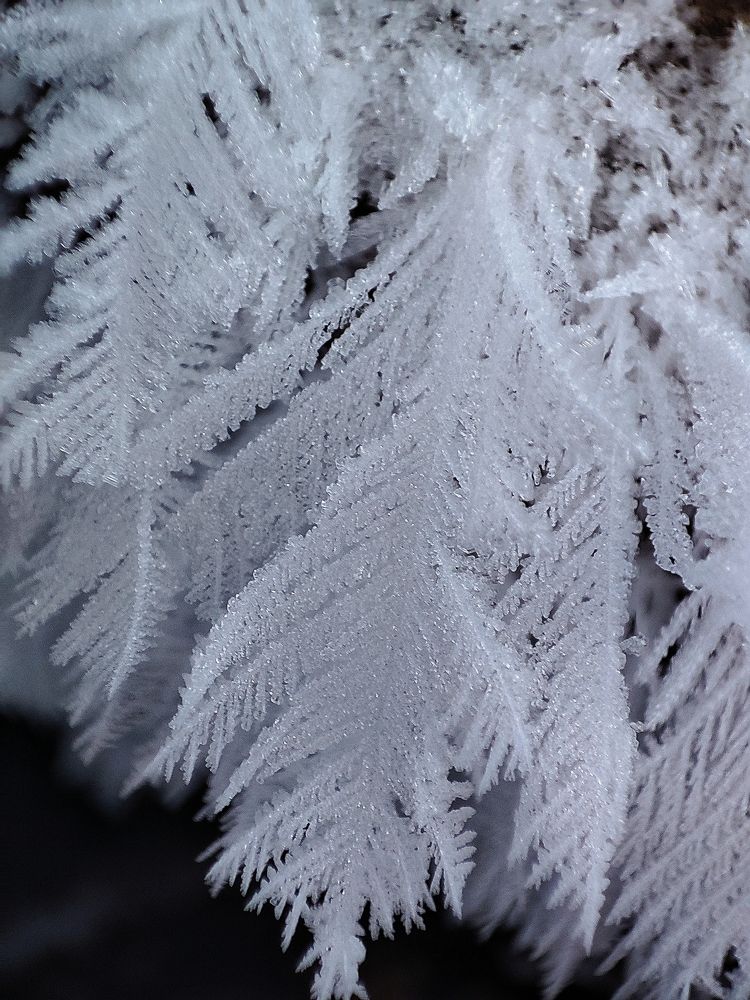 Photograph by Дмитрий Фетисов