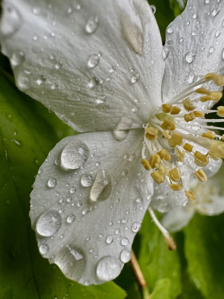 Photograph by Екатерина Балакина