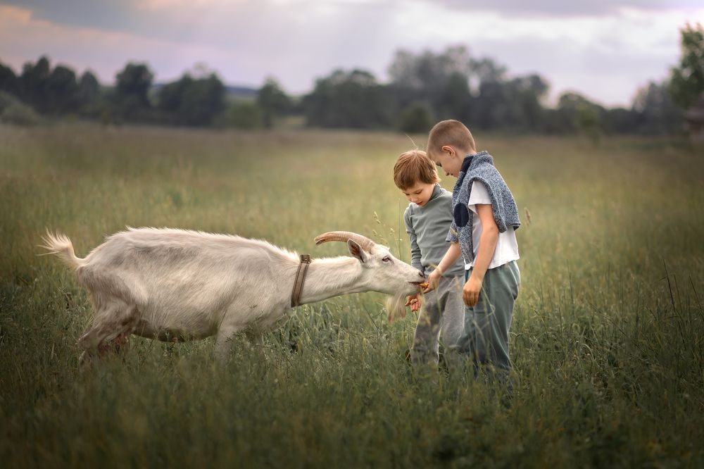 Photograph by Марина Левкович