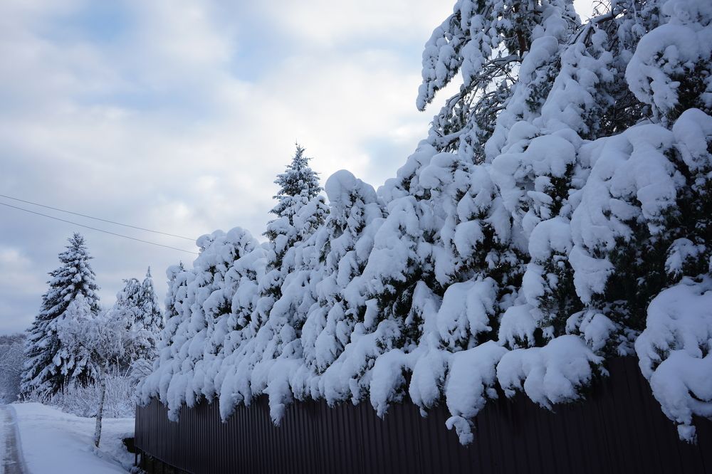 Photograph by Юлия Отставнова