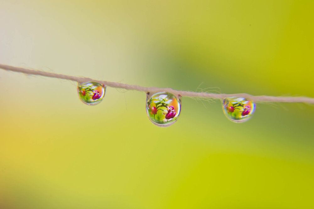 Фотография автора Юлия Кранина