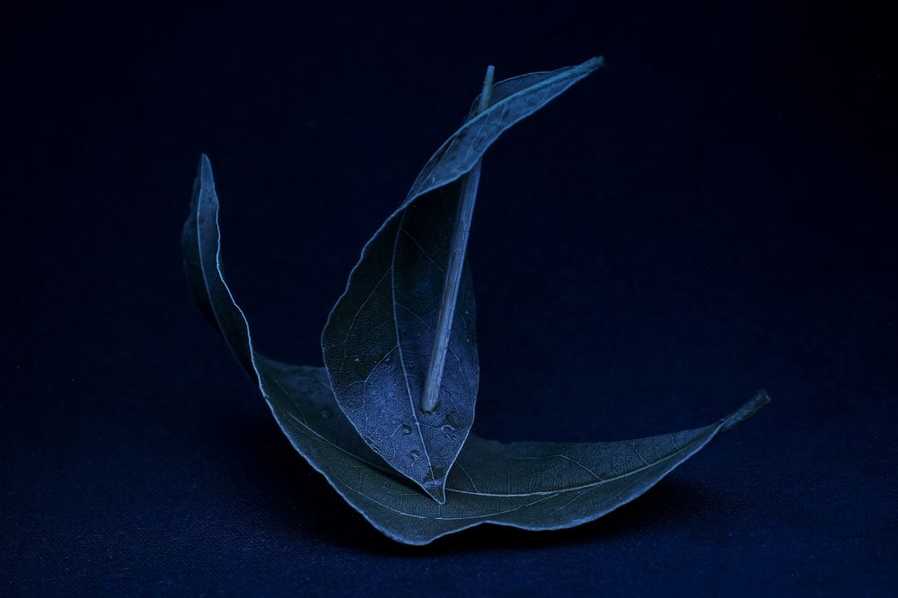 Photograph by Андрей