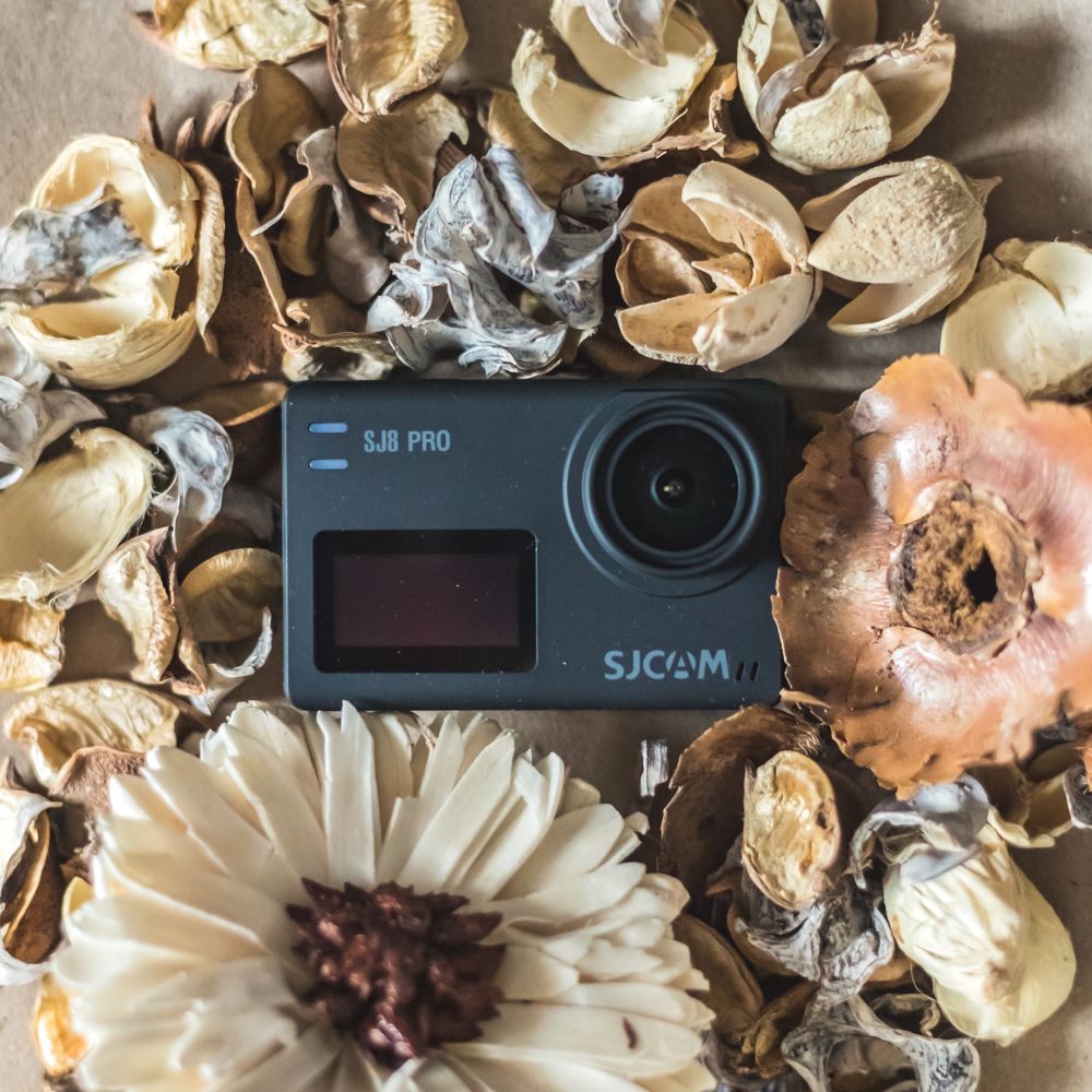 Photograph by Анастасия Васина