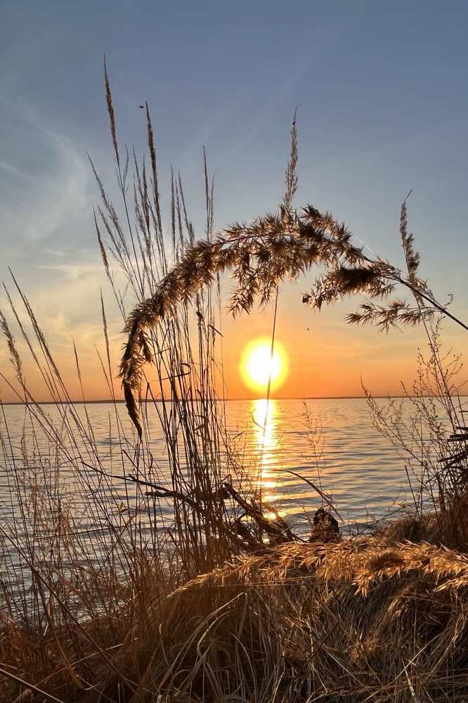 Фотография автора Валентина Бирина