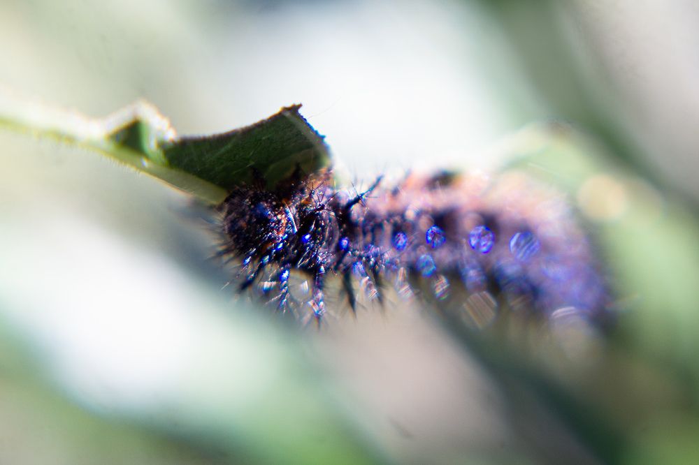 Photograph by María Laura Giorda