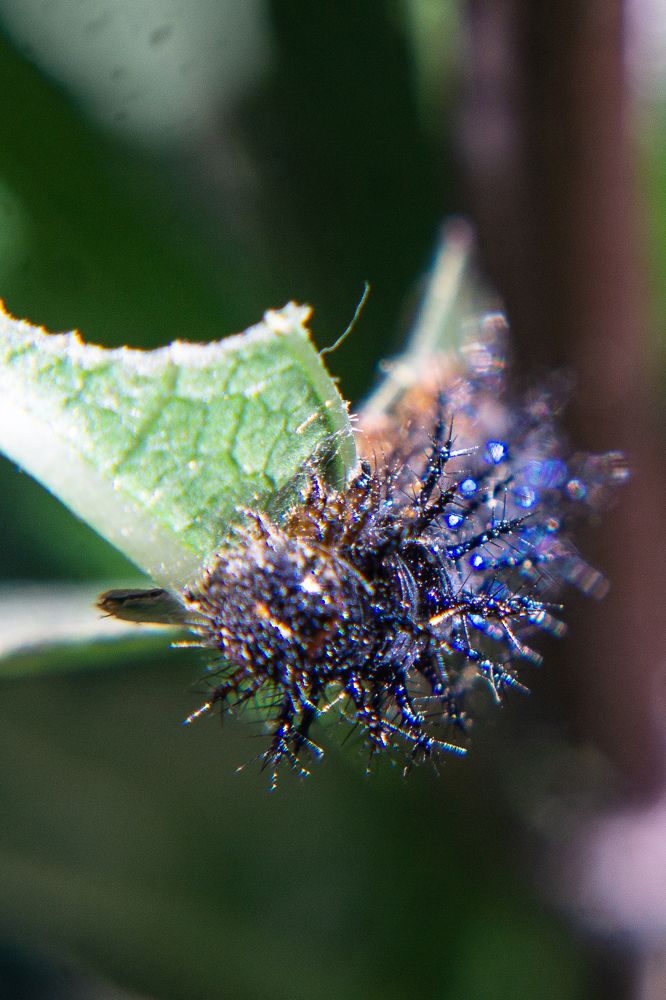 Photograph by María Laura Giorda