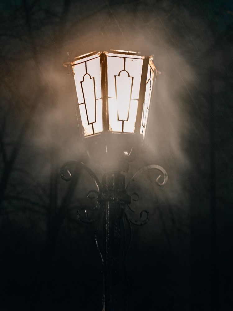 Фотография автора Елена Чиликина