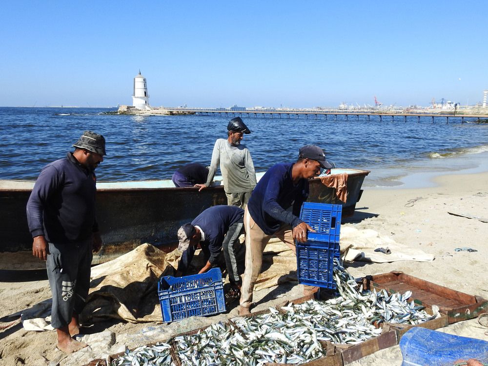 Photograph by Dina Eid