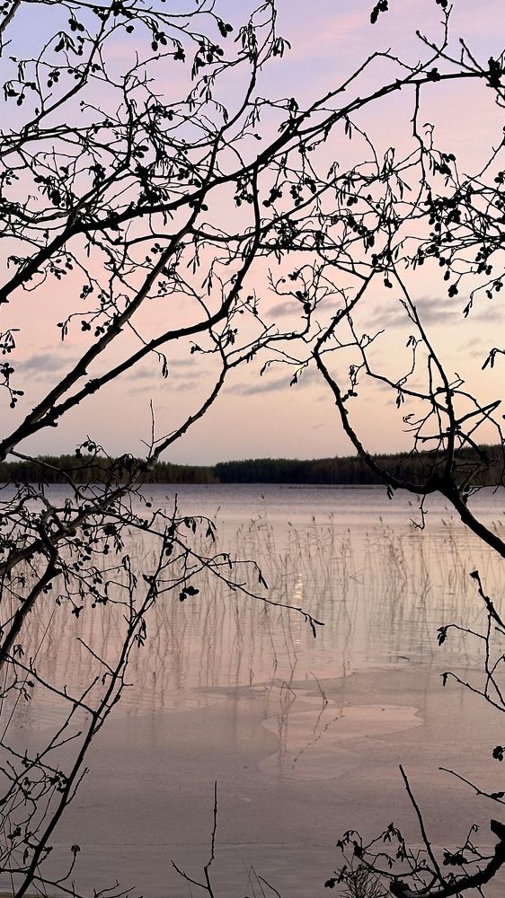 Photograph by Денис Ковальчук