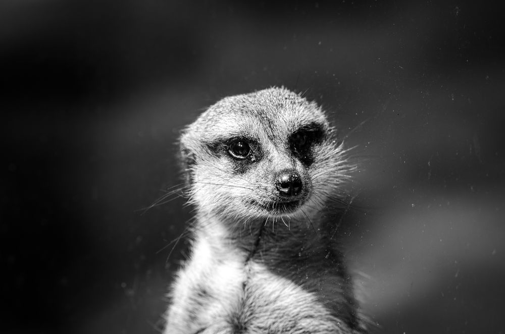 Photograph by Елена Берсенёва