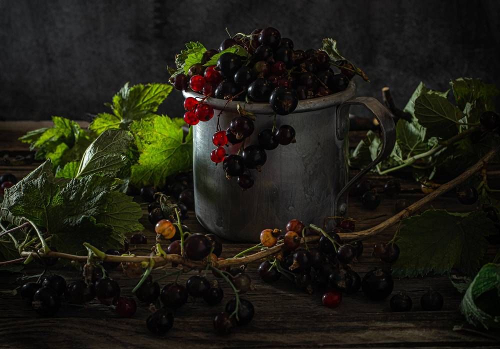 Photograph by Галина Мозолевская