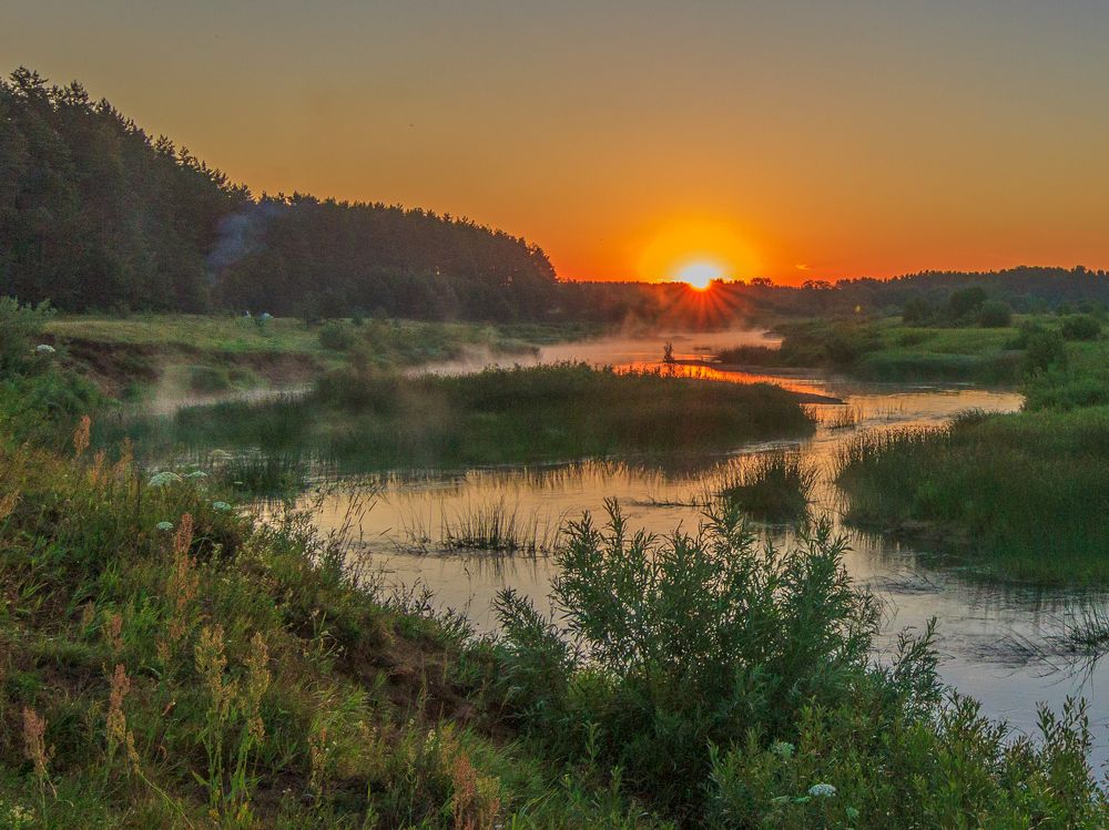 Медведица