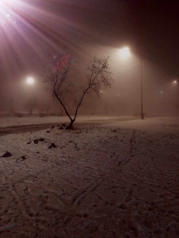 Photograph by Светлана Середина