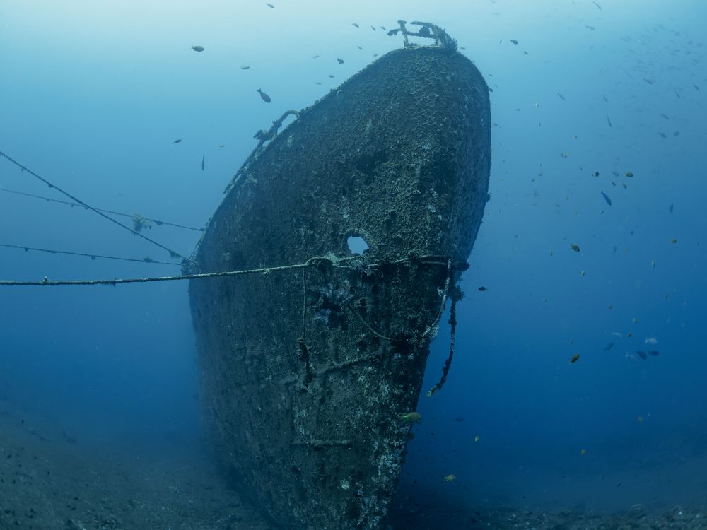 Photograph by Савин Андрей