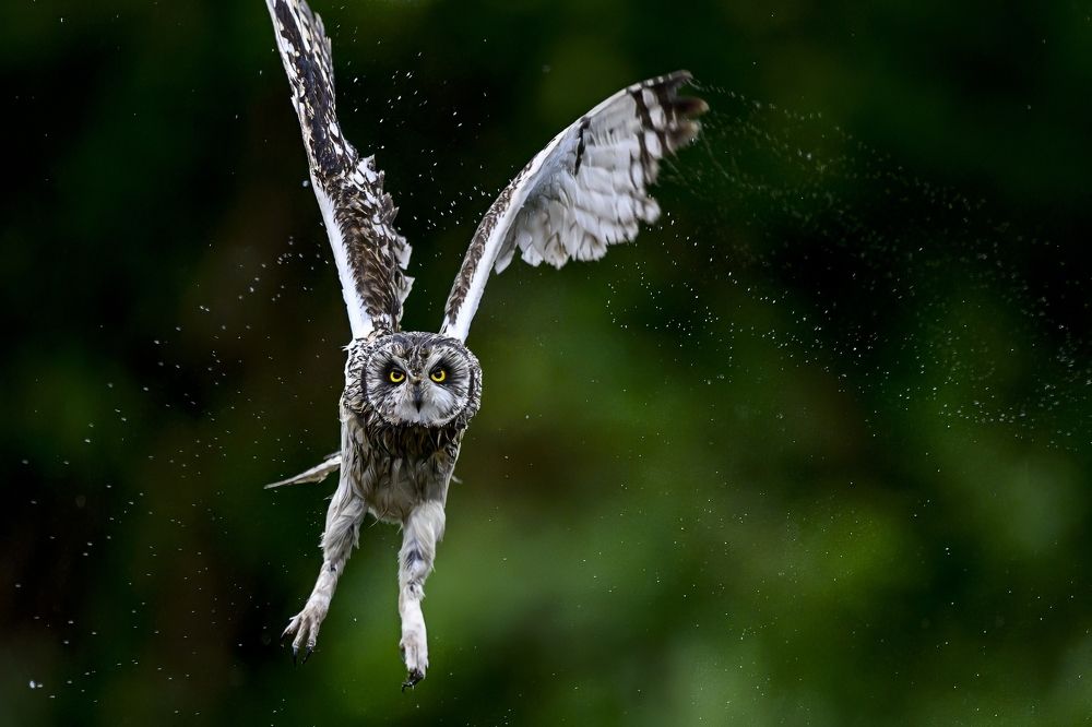 Photograph by Пупонин Сергей