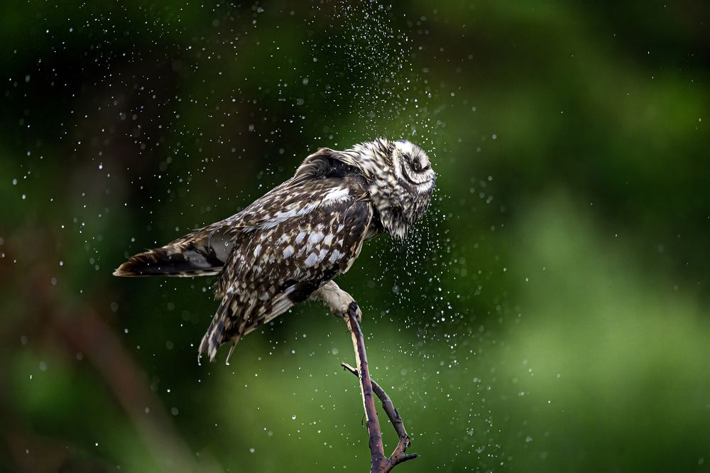 Photograph by Пупонин Сергей