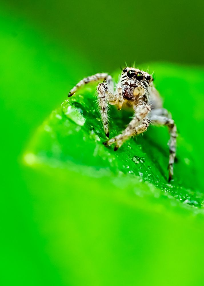 Photograph by kamran shirani