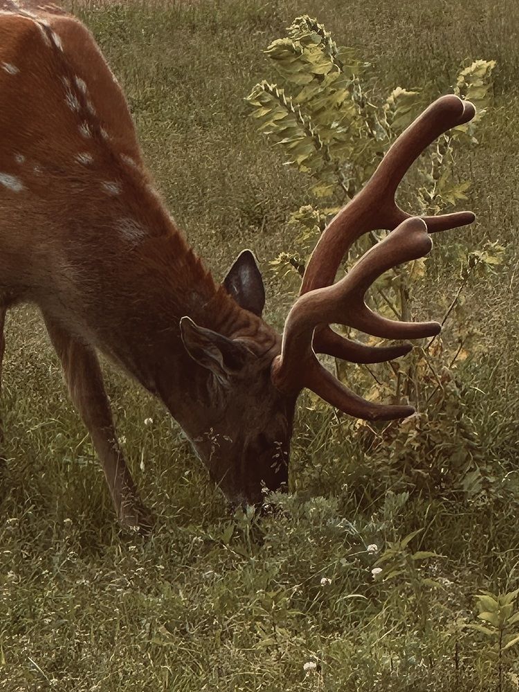 Photograph by Диана Бадеева