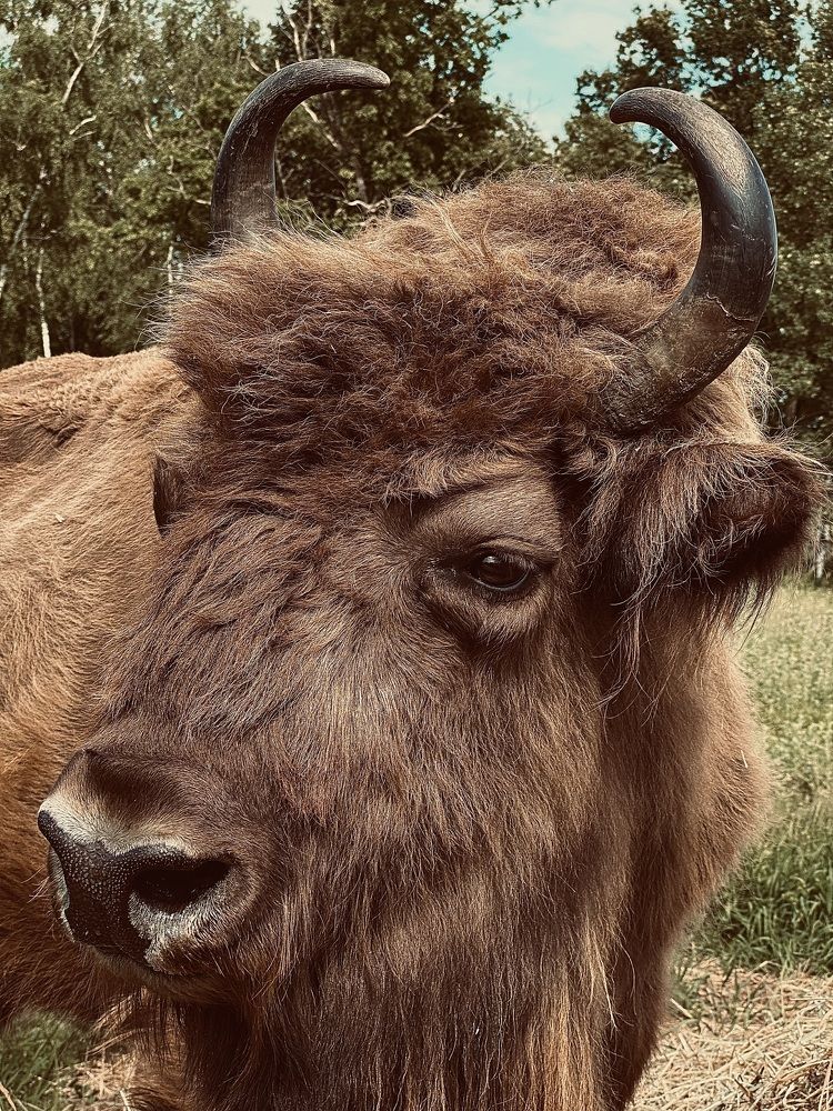 Photograph by Диана Бадеева