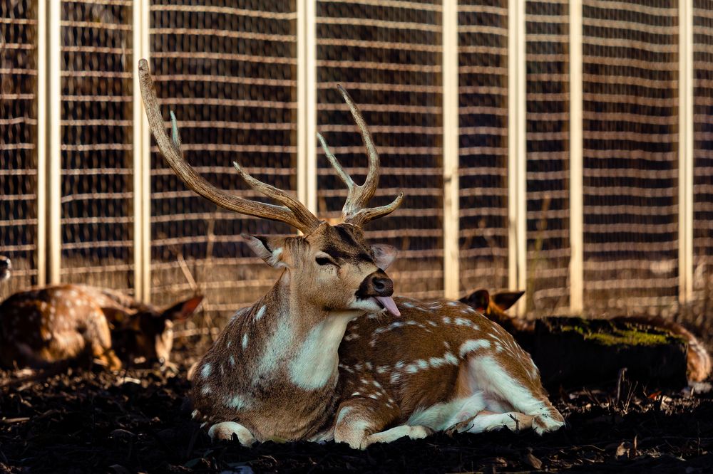 Photograph by Siarhei Saladukhin