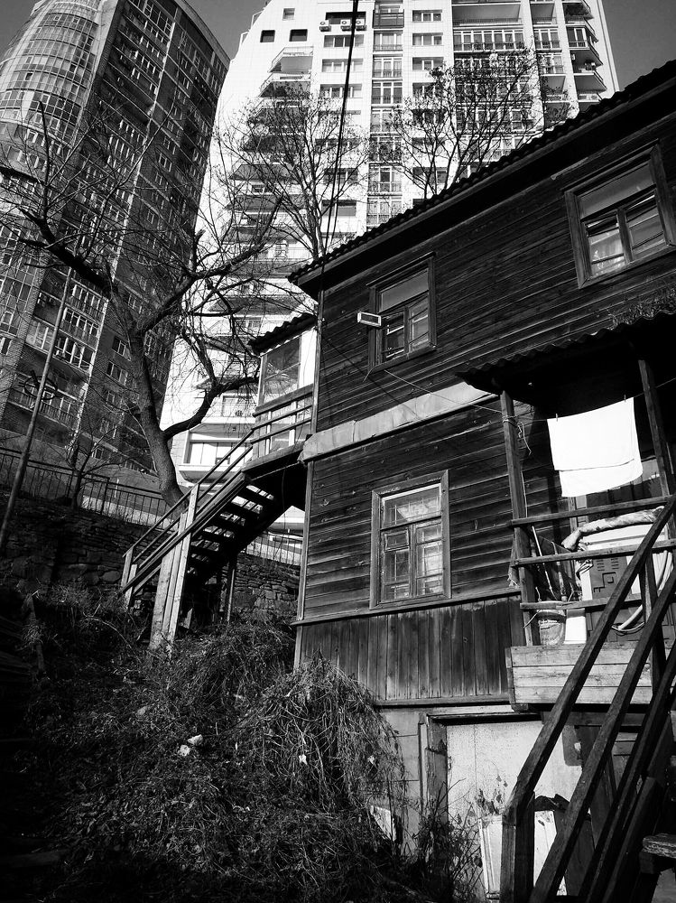 Вековые соседи.