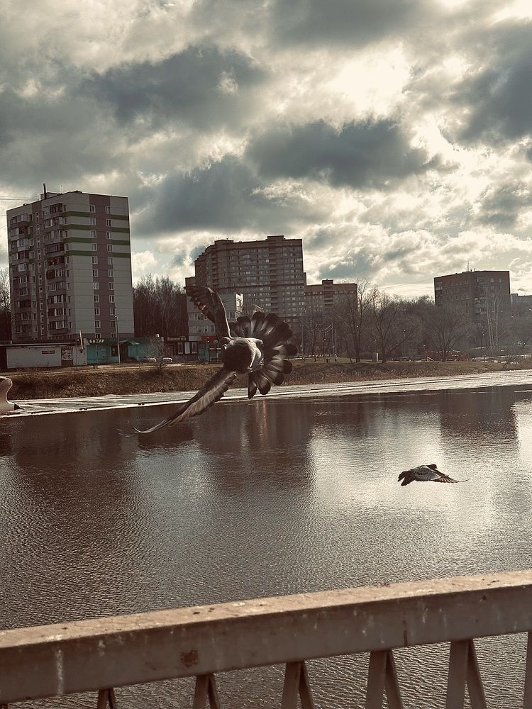 Photograph by Диана Бадеева