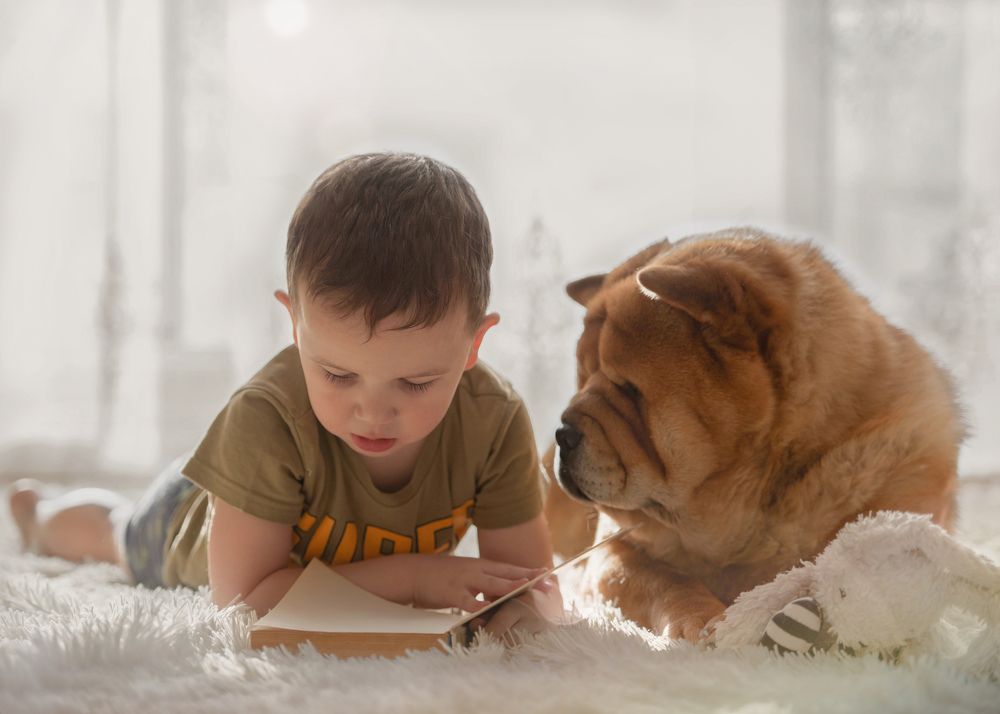 Photograph by Дарья Лисицына