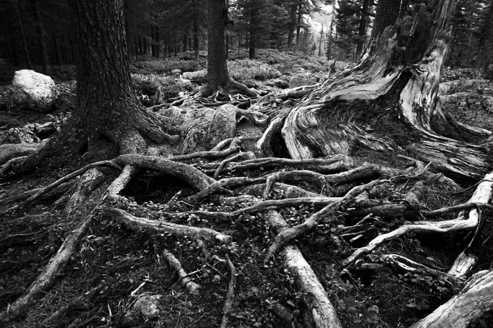 Photograph by Ксения Дудкина