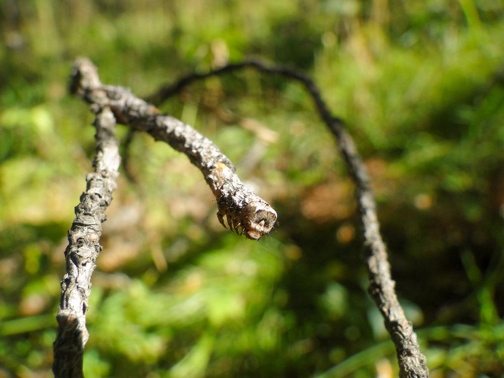 Photograph by Ксения Дудкина