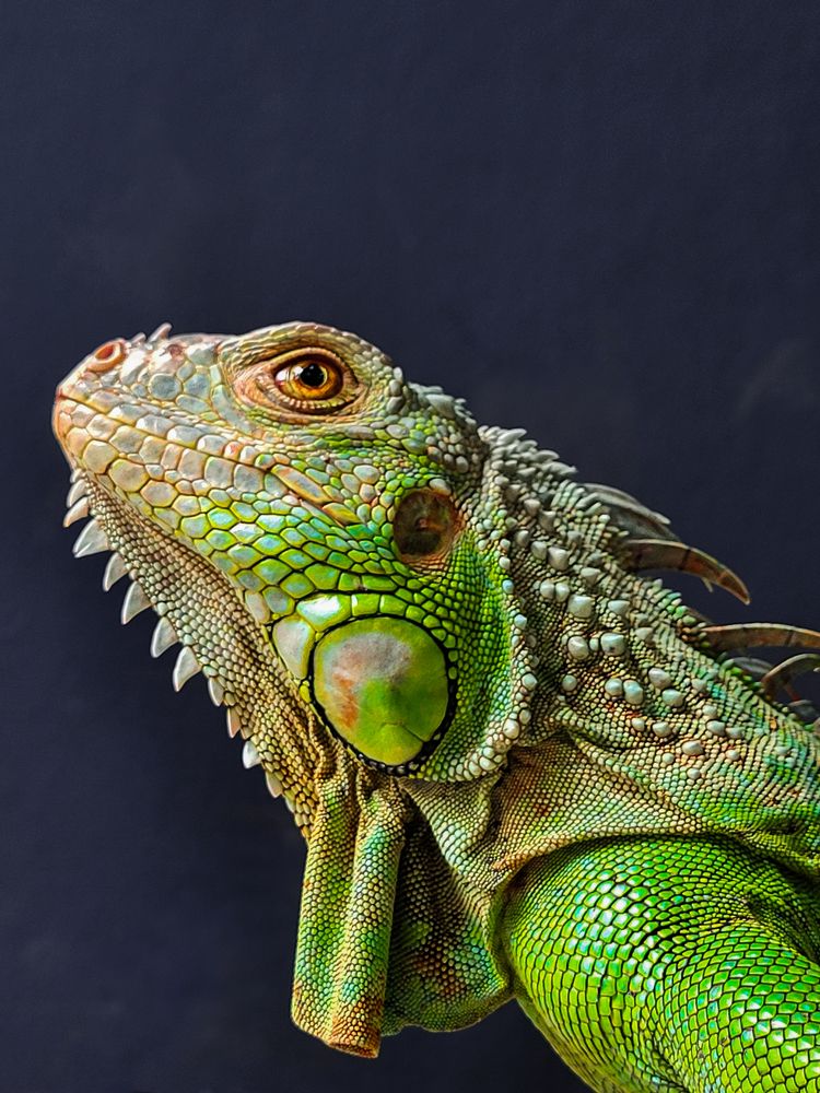 Photograph by ADARSH AJ