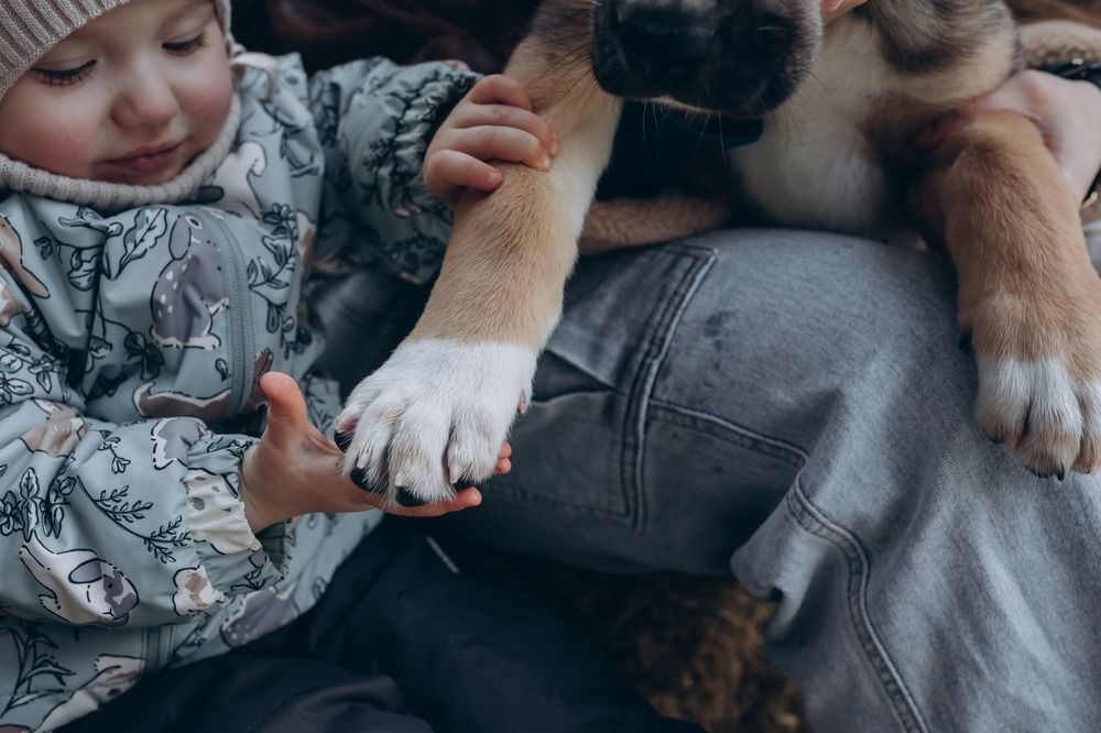 Photograph by Марина Рукавичко